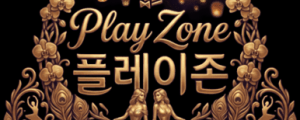 플레이존