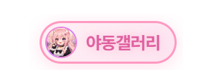 야동갤러리
