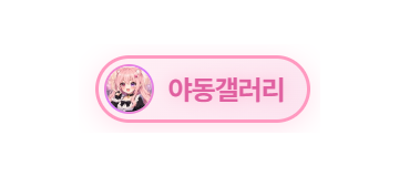 야동갤러리