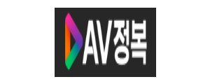 AV정복