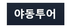 야동투어