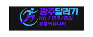 광주달리기